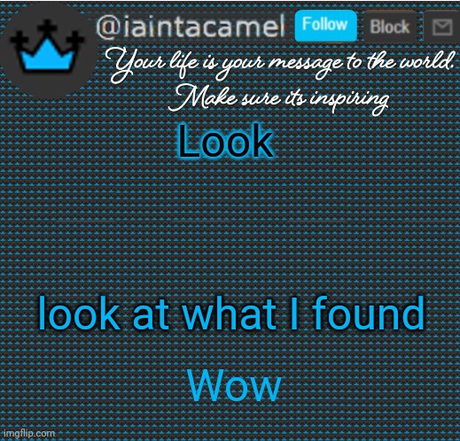 iaintacamel | Look; look at what I found; Wow | image tagged in iaintacamel | made w/ Imgflip meme maker