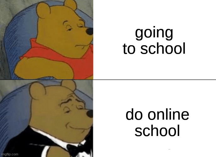 Tuxedo Winnie The Pooh Meme | going to school; do online school | image tagged in memes,tuxedo winnie the pooh | made w/ Imgflip meme maker