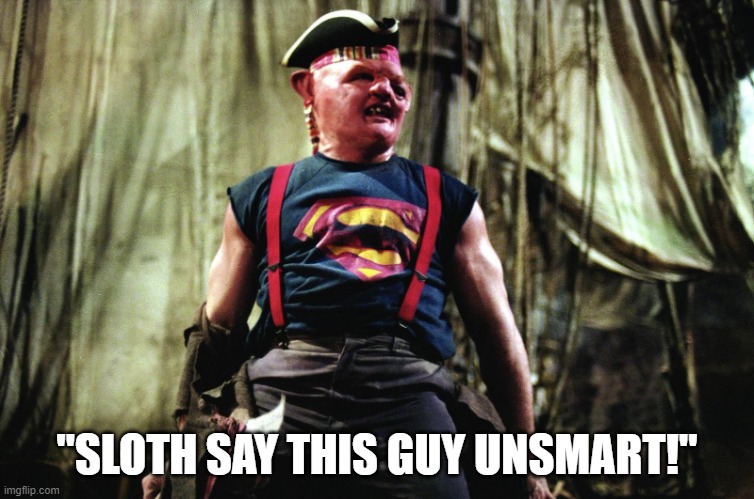 sloth goonies | "SLOTH SAY THIS GUY UNSMART!" | image tagged in sloth goonies | made w/ Imgflip meme maker