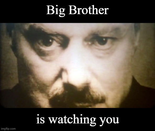 Big Brother is watching you | Big Brother; is watching you | image tagged in big brother,big brother is watching you,1984,ingsoc,war is peace,freedom is slavery | made w/ Imgflip meme maker