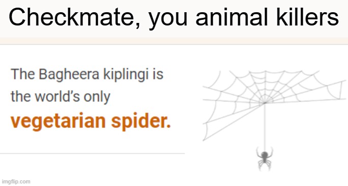 ONE SPIDER IS VEGETARIAN THIS MEANS IT IS IN NATURE EEEEEE | Checkmate, you animal killers | image tagged in funny,vegans,vegetarian | made w/ Imgflip meme maker