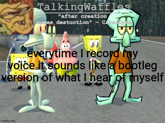 TalkingWaffles crap temp 2.0 | everytime I record my voice it sounds like a bootleg version of what I hear of myself | image tagged in talkingwaffles crap temp 2 0 | made w/ Imgflip meme maker