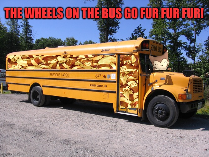 144 furrets per cubic inch! | THE WHEELS ON THE BUS GO FUR FUR FUR! | image tagged in school bus,furret,invasion,pokemon,cute animals | made w/ Imgflip meme maker