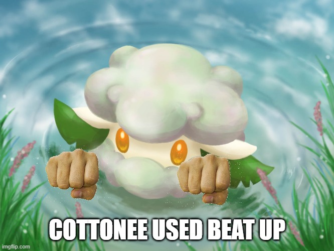 what? HOW? | COTTONEE USED BEAT UP | image tagged in pokemon logic | made w/ Imgflip meme maker
