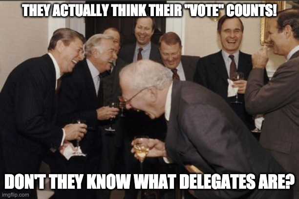 Vote Counts? | THEY ACTUALLY THINK THEIR "VOTE" COUNTS! DON'T THEY KNOW WHAT DELEGATES ARE? | image tagged in memes,laughing men in suits,government | made w/ Imgflip meme maker