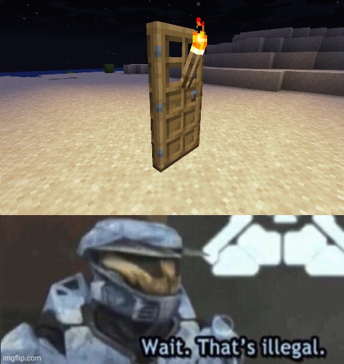 Torch Door? | image tagged in wait that s illegal,minecraft,torch,door,memes | made w/ Imgflip meme maker