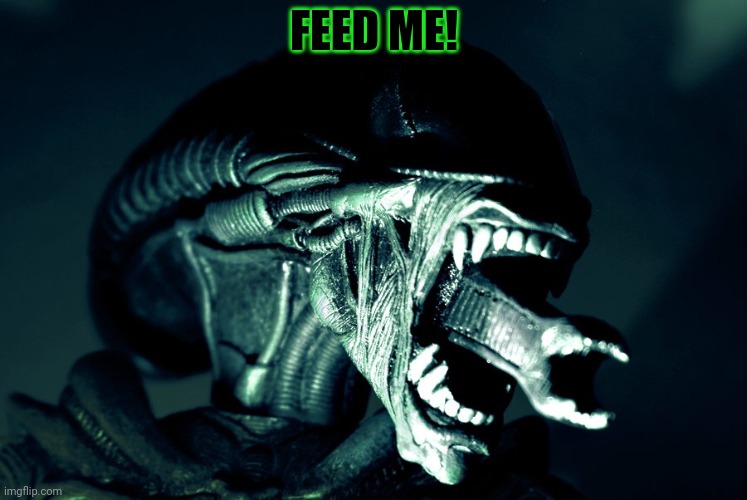 Xenomorph Parenting | FEED ME! | image tagged in xenomorph parenting | made w/ Imgflip meme maker