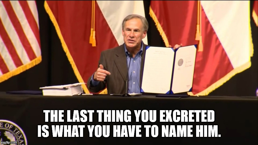 Name Him! | THE LAST THING YOU EXCRETED IS WHAT YOU HAVE TO NAME HIM. | image tagged in texas,governor | made w/ Imgflip meme maker