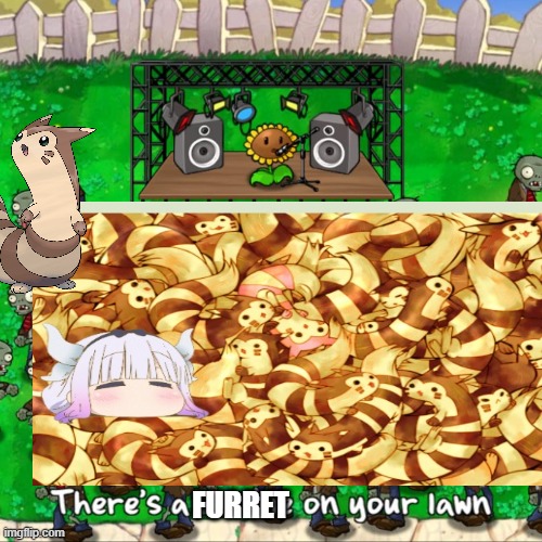 There's a furret on your lawn! | FURRET | image tagged in furret,plants vs zombies | made w/ Imgflip meme maker