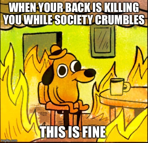 I'm fine | WHEN YOUR BACK IS KILLING YOU WHILE SOCIETY CRUMBLES; THIS IS FINE | image tagged in i'm fine | made w/ Imgflip meme maker