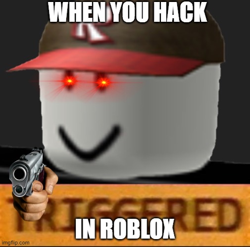 when you hack in roblos | WHEN YOU HACK; IN ROBLOX | image tagged in roblox triggered | made w/ Imgflip meme maker