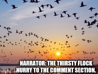 Thirsty flock | NARRATOR: THE THIRSTY FLOCK HURRY TO THE COMMENT SECTION. | image tagged in thirsty,flock,comment section,narrator | made w/ Imgflip meme maker