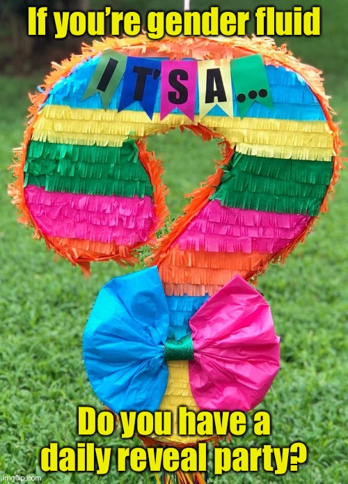 Gender fluidity | If you’re gender fluid; Do you have a daily reveal party? | image tagged in gender reveal question mark pinata it's a | made w/ Imgflip meme maker