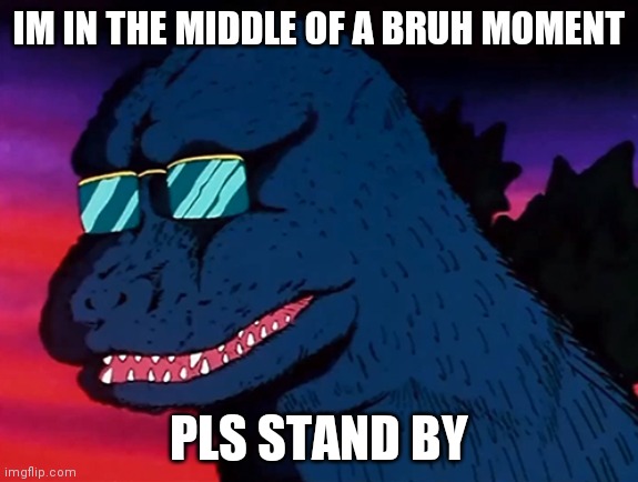 Cash Money Godzilla | IM IN THE MIDDLE OF A BRUH MOMENT PLS STAND BY | image tagged in cash money godzilla | made w/ Imgflip meme maker