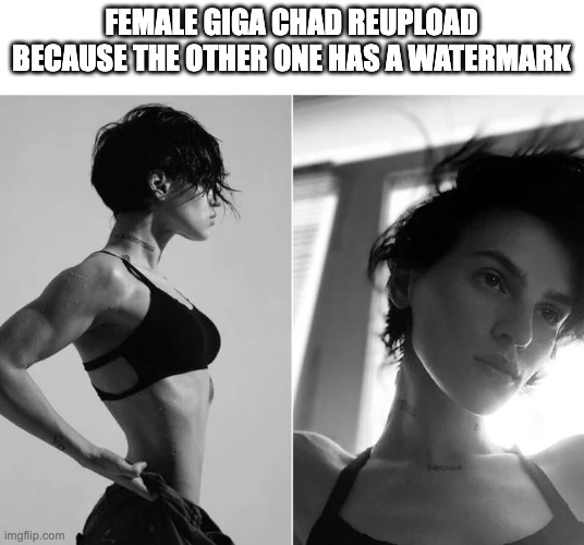 giga chad Memes & GIFs - Imgflip