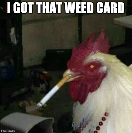Smoking rooster | I GOT THAT WEED CARD | image tagged in smoking rooster | made w/ Imgflip meme maker