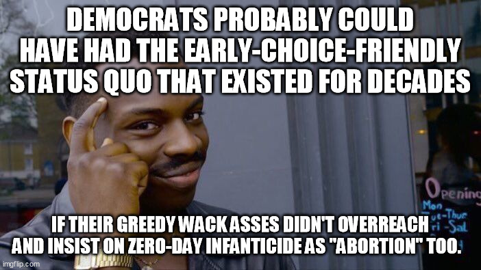 Roll Safe Think About It Meme | DEMOCRATS PROBABLY COULD HAVE HAD THE EARLY-CHOICE-FRIENDLY STATUS QUO THAT EXISTED FOR DECADES IF THEIR GREEDY WACK ASSES DIDN'T OVERREACH  | image tagged in memes,roll safe think about it | made w/ Imgflip meme maker