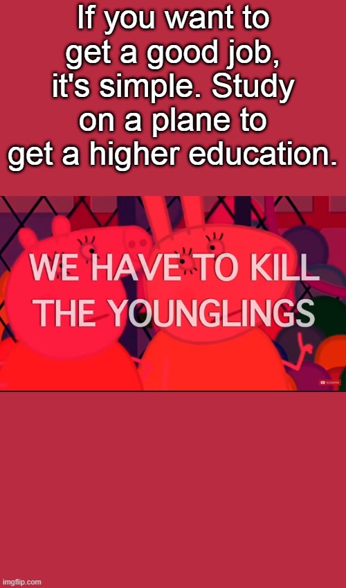 we have to kill the younglings | If you want to get a good job, it's simple. Study on a plane to get a higher education. | image tagged in we have to kill the younglings | made w/ Imgflip meme maker
