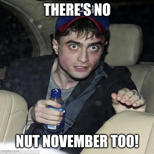 harry potter crazy | THERE'S NO NUT NOVEMBER TOO! | image tagged in harry potter crazy | made w/ Imgflip meme maker