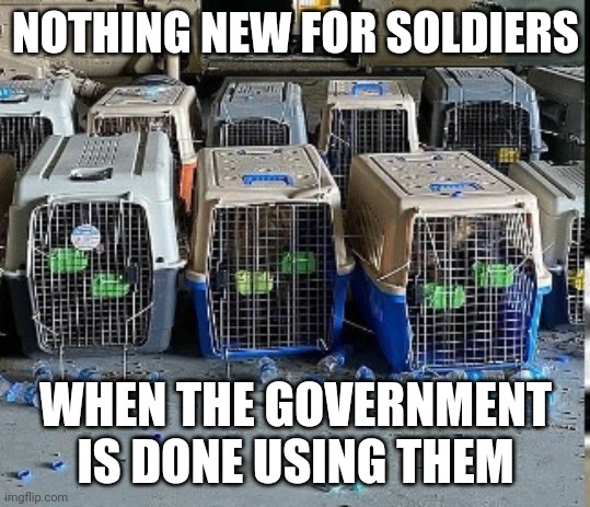 They all got left behind | NOTHING NEW FOR SOLDIERS; WHEN THE GOVERNMENT IS DONE USING THEM | image tagged in government,government corruption,dogs,veterans,soldiers,uncle sam | made w/ Imgflip meme maker