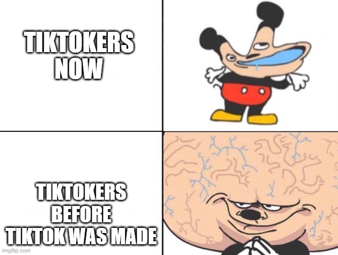tiktokers before vs now | TIKTOKERS NOW; TIKTOKERS BEFORE TIKTOK WAS MADE | image tagged in big brain mokey,tiktok sucks | made w/ Imgflip meme maker