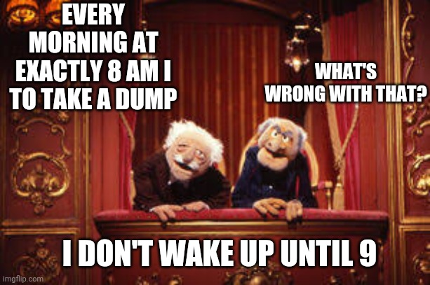 Boom  er | EVERY MORNING AT EXACTLY 8 AM I TO TAKE A DUMP; WHAT'S WRONG WITH THAT? I DON'T WAKE UP UNTIL 9 | image tagged in memes,muppets,ok boomer,funny memes | made w/ Imgflip meme maker