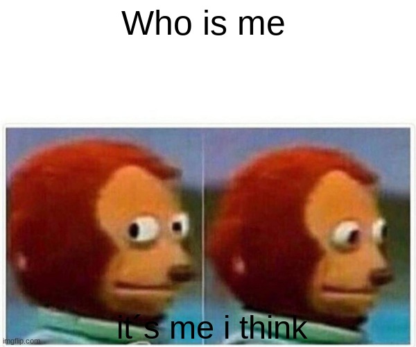 Monkey Puppet Meme | Who is me; it´s me i think | image tagged in memes,monkey puppet | made w/ Imgflip meme maker