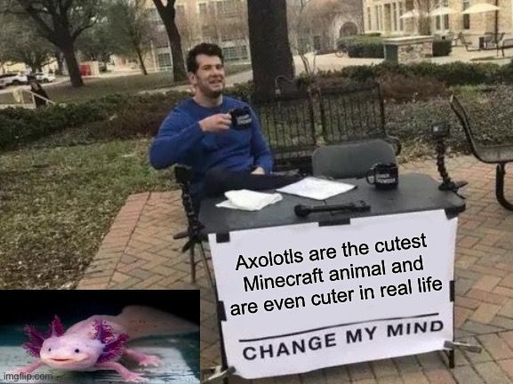 You just can’t possibly change my mind | Axolotls are the cutest Minecraft animal and are even cuter in real life | image tagged in memes,change my mind,axolotl,minecraft,irl,cute | made w/ Imgflip meme maker