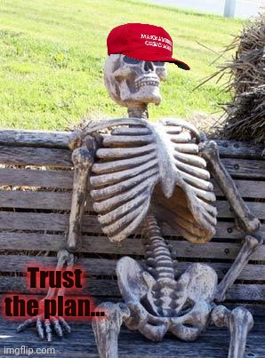 Waiting Skeleton Meme | Trust the plan... | image tagged in memes,waiting skeleton | made w/ Imgflip meme maker