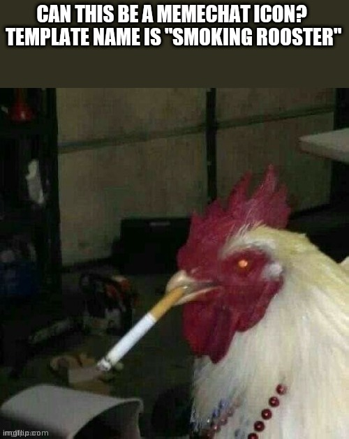 Smoking rooster | CAN THIS BE A MEMECHAT ICON? 

TEMPLATE NAME IS "SMOKING ROOSTER" | image tagged in smoking rooster | made w/ Imgflip meme maker