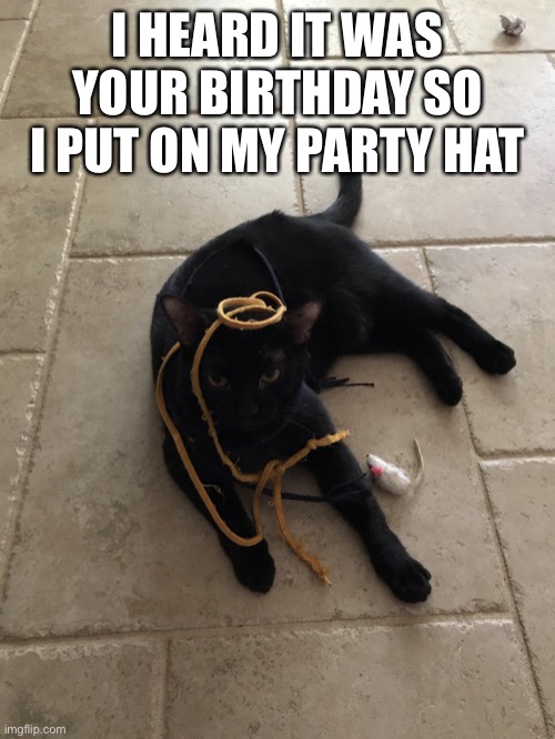 Little Bit | I HEARD IT WAS YOUR BIRTHDAY SO I PUT ON MY PARTY HAT | image tagged in little bit | made w/ Imgflip meme maker