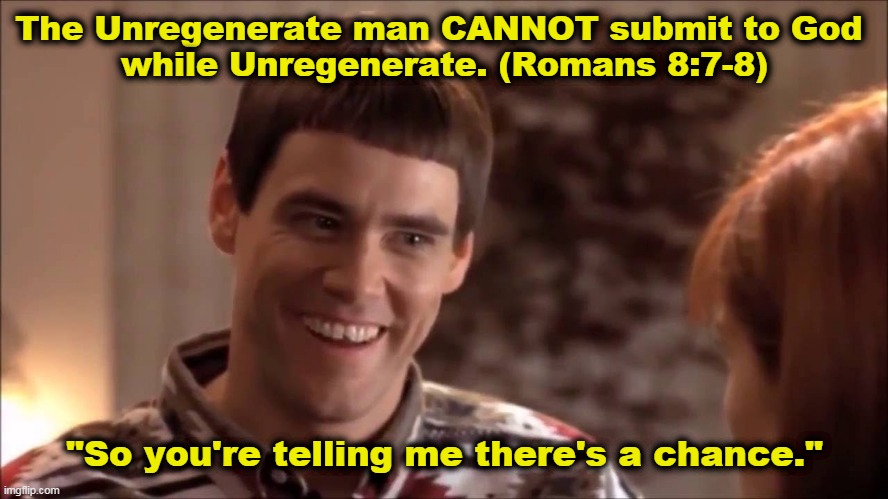 Arminian Lloyd Christmas ( Dumb and Dumber) |  The Unregenerate man CANNOT submit to God 
while Unregenerate. (Romans 8:7-8); "So you're telling me there's a chance." | image tagged in so you're telling me there's a chance,dumb and dumber,romans 8,calvinist memes,arminian,free will | made w/ Imgflip meme maker