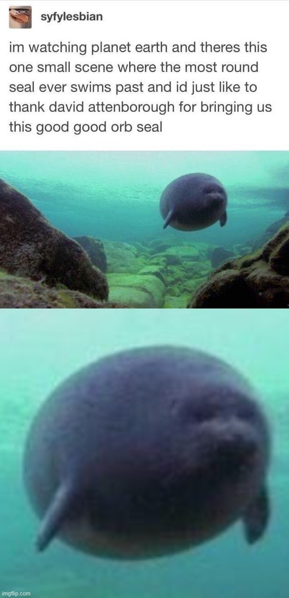 orbb | image tagged in orb seal | made w/ Imgflip meme maker