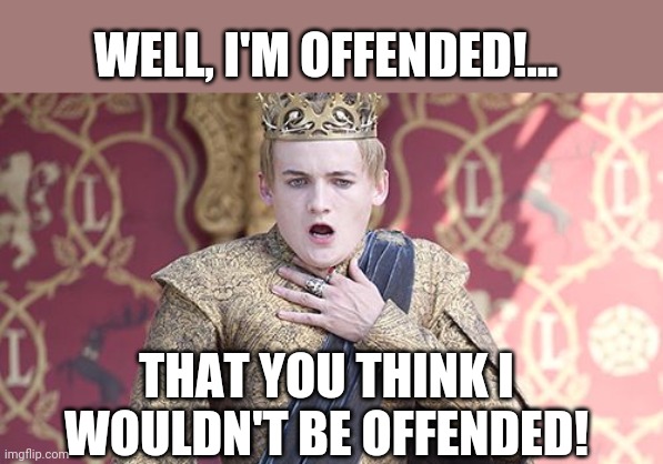 Offended | WELL, I'M OFFENDED!... THAT YOU THINK I WOULDN'T BE OFFENDED! | image tagged in offended | made w/ Imgflip meme maker