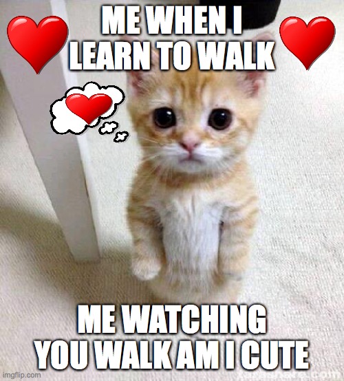 Cute Cat | ME WHEN I LEARN TO WALK; ME WATCHING YOU WALK AM I CUTE | image tagged in memes,cute cat | made w/ Imgflip meme maker