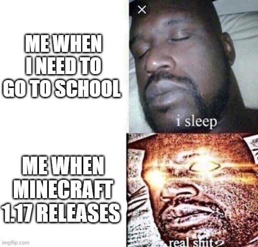 i sleep real shit | ME WHEN I NEED TO GO TO SCHOOL; ME WHEN MINECRAFT 1.17 RELEASES | image tagged in i sleep real shit | made w/ Imgflip meme maker