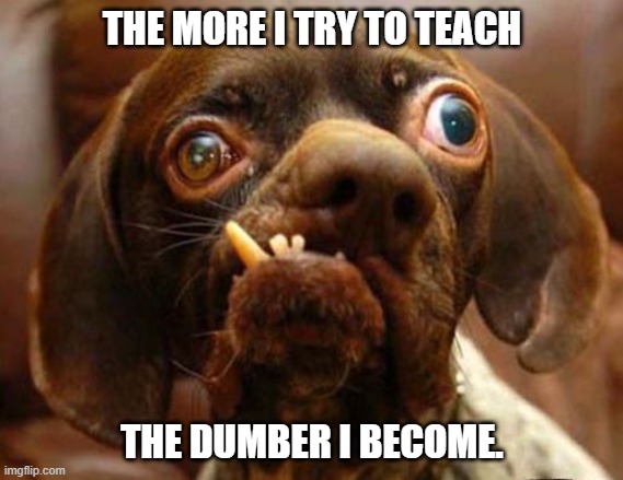 stupid dog face | THE MORE I TRY TO TEACH; THE DUMBER I BECOME. | image tagged in stupid dog face | made w/ Imgflip meme maker