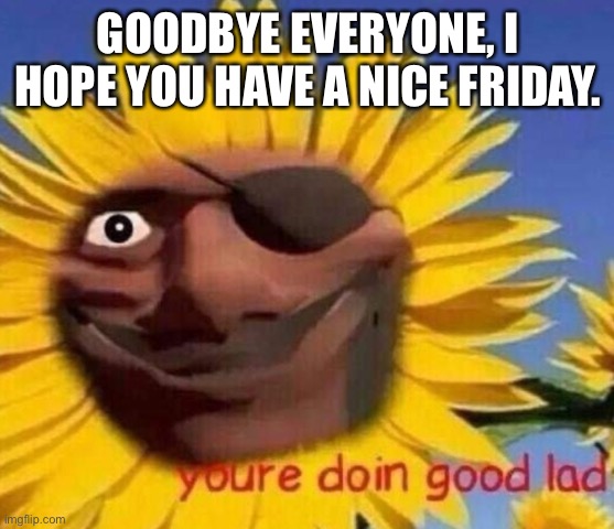 Demo sunflower | GOODBYE EVERYONE, I HOPE YOU HAVE A NICE FRIDAY. | image tagged in demo sunflower | made w/ Imgflip meme maker