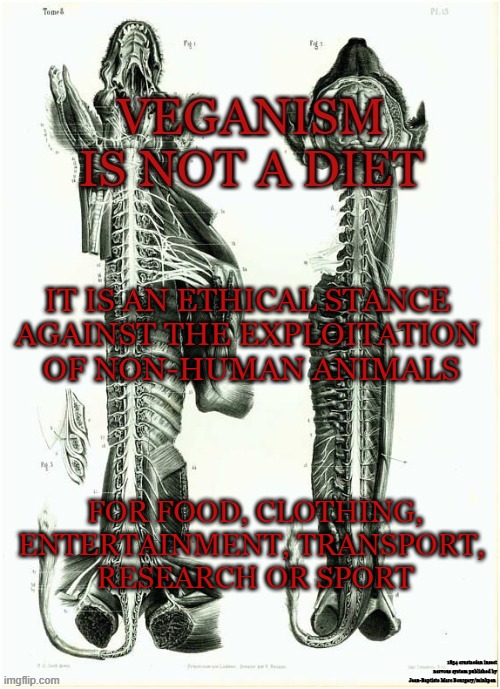Veganism | IT IS AN ETHICAL STANCE 
AGAINST THE EXPLOITATION 
OF NON-HUMAN ANIMALS; FOR FOOD, CLOTHING, ENTERTAINMENT, TRANSPORT, 
RESEARCH OR SPORT | image tagged in vegan,ethics,compassion,animals,meat,leather | made w/ Imgflip meme maker