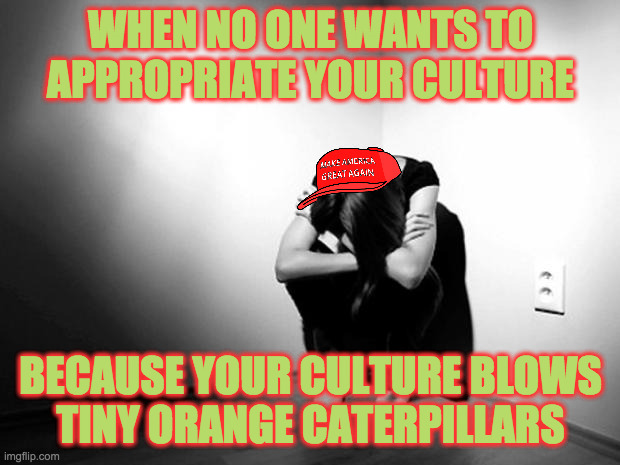 First world MAGA problems. | WHEN NO ONE WANTS TO APPROPRIATE YOUR CULTURE; BECAUSE YOUR CULTURE BLOWS
TINY ORANGE CATERPILLARS | image tagged in depression sadness hurt pain anxiety,memes,tiny orange caterpillars,maga culture,first world maga problems | made w/ Imgflip meme maker
