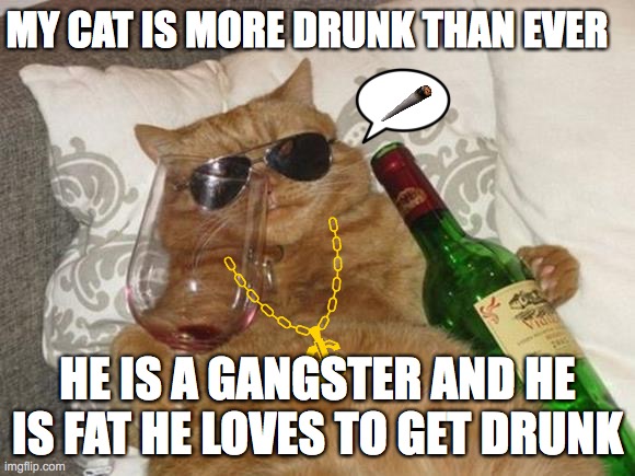 Funny Cat Birthday | MY CAT IS MORE DRUNK THAN EVER; HE IS A GANGSTER AND HE IS FAT HE LOVES TO GET DRUNK | image tagged in funny cat birthday | made w/ Imgflip meme maker