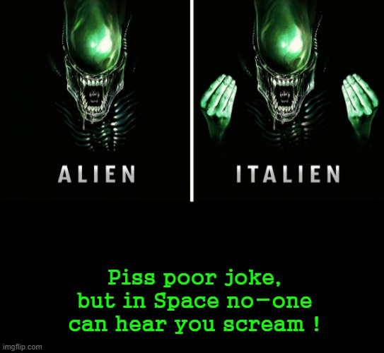 In Space, no-one can hear you scream ! | Piss poor joke,
but in Space no-one can hear you scream ! | image tagged in ellen ripley | made w/ Imgflip meme maker