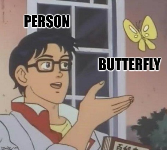 Is This A Pigeon | PERSON; BUTTERFLY | image tagged in memes,is this a pigeon,memes | made w/ Imgflip meme maker