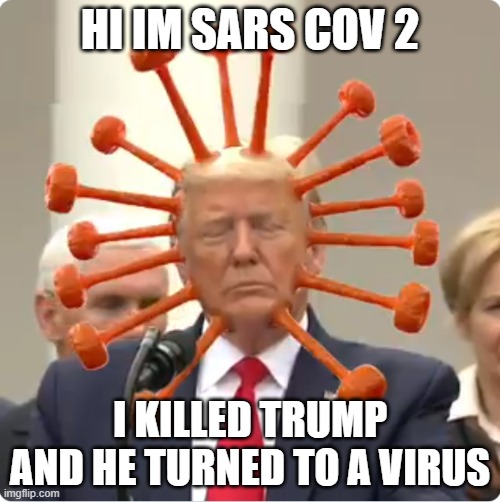 trump | HI IM SARS COV 2; I KILLED TRUMP AND HE TURNED TO A VIRUS | image tagged in trump | made w/ Imgflip meme maker
