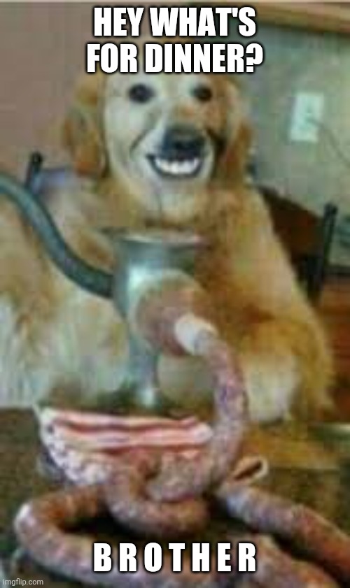 Dinner is almost ready | HEY WHAT'S FOR DINNER? B R O T H E R | image tagged in wtf,delicious,dog,cursed image | made w/ Imgflip meme maker