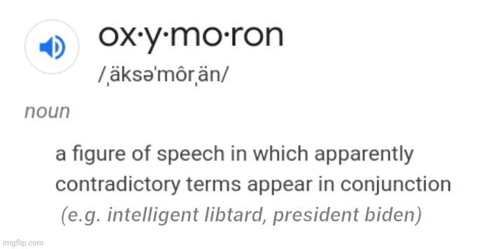 (e.g. intelligent libtard, president biden) | made w/ Imgflip meme maker