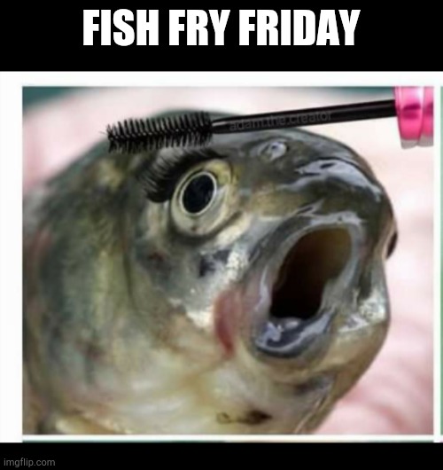 Fish fry friday | FISH FRY FRIDAY | image tagged in fish mascara,fish,makeup,fishing,fry | made w/ Imgflip meme maker