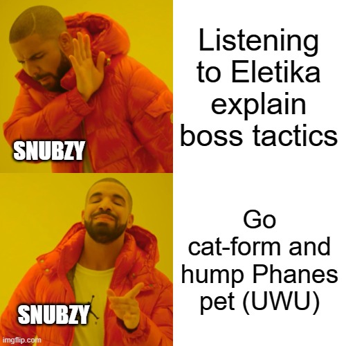 GGM WOW |  Listening to Eletika explain boss tactics; SNUBZY; Go cat-form and hump Phanes pet (UWU); SNUBZY | image tagged in memes,drake hotline bling,world of warcraft | made w/ Imgflip meme maker