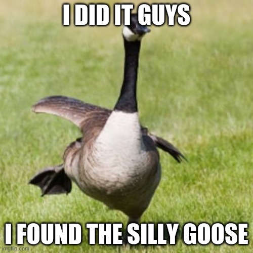 Silly goose | I DID IT GUYS; I FOUND THE SILLY GOOSE | image tagged in silly goose | made w/ Imgflip meme maker