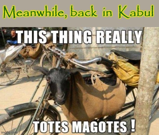 Totes Magotes | Meanwhile, back  in  Kabul; ! | image tagged in afghanistan | made w/ Imgflip meme maker